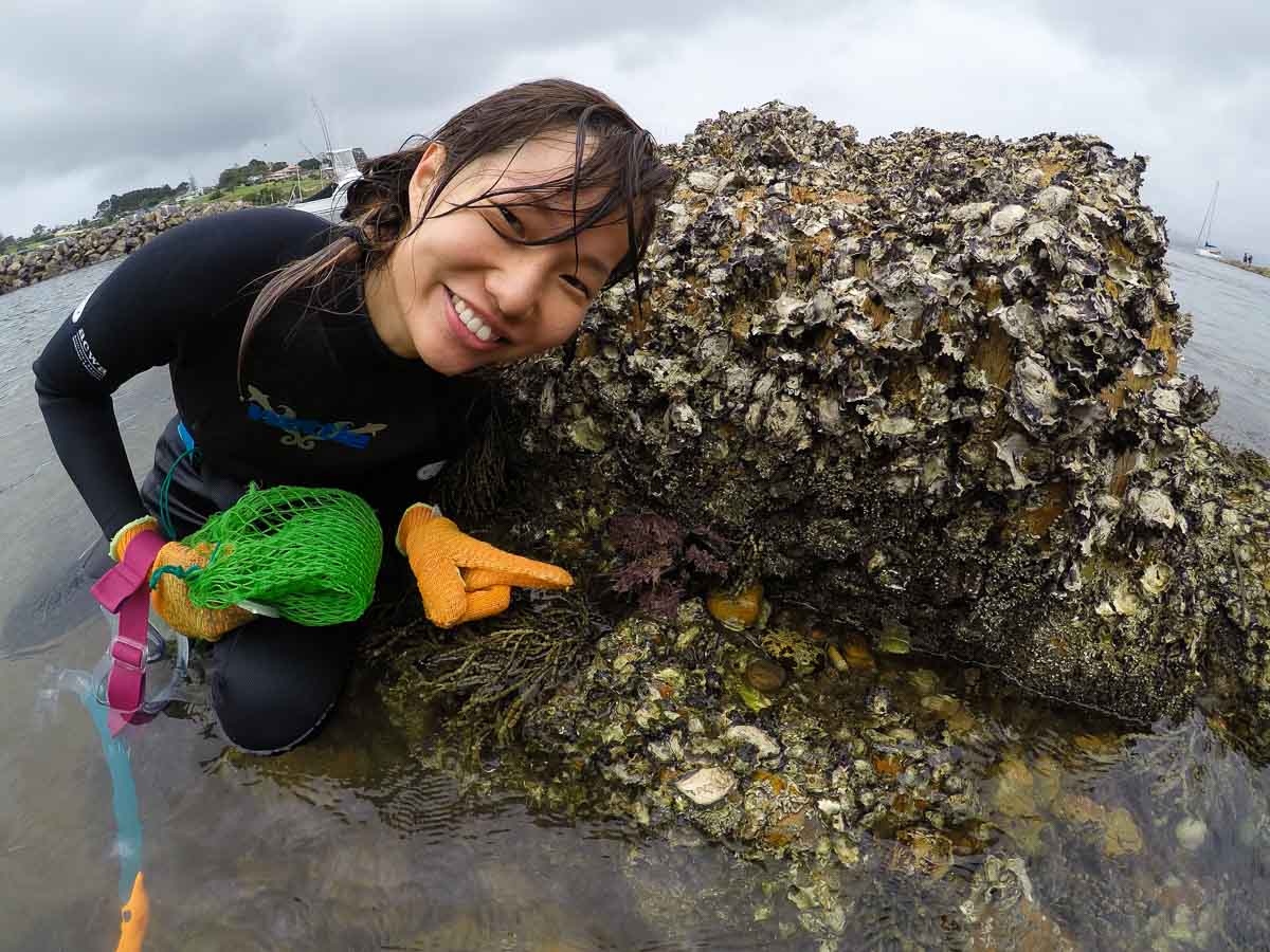 Mussels - Ocean to Plate Experience