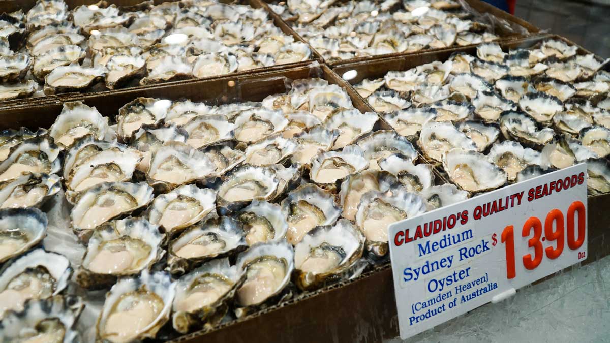 Oysters at Sydney Fish Market - Australia Road Trip