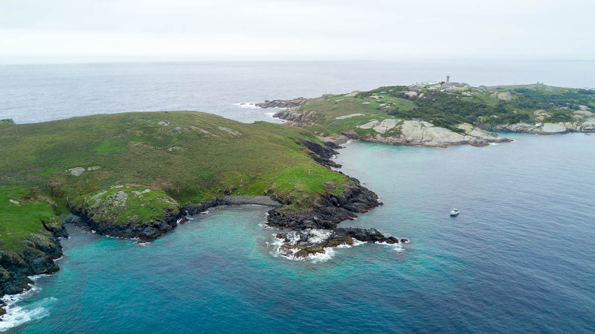 Montague Island - Snorkelling with seals on Montague Island NSW Australia-8