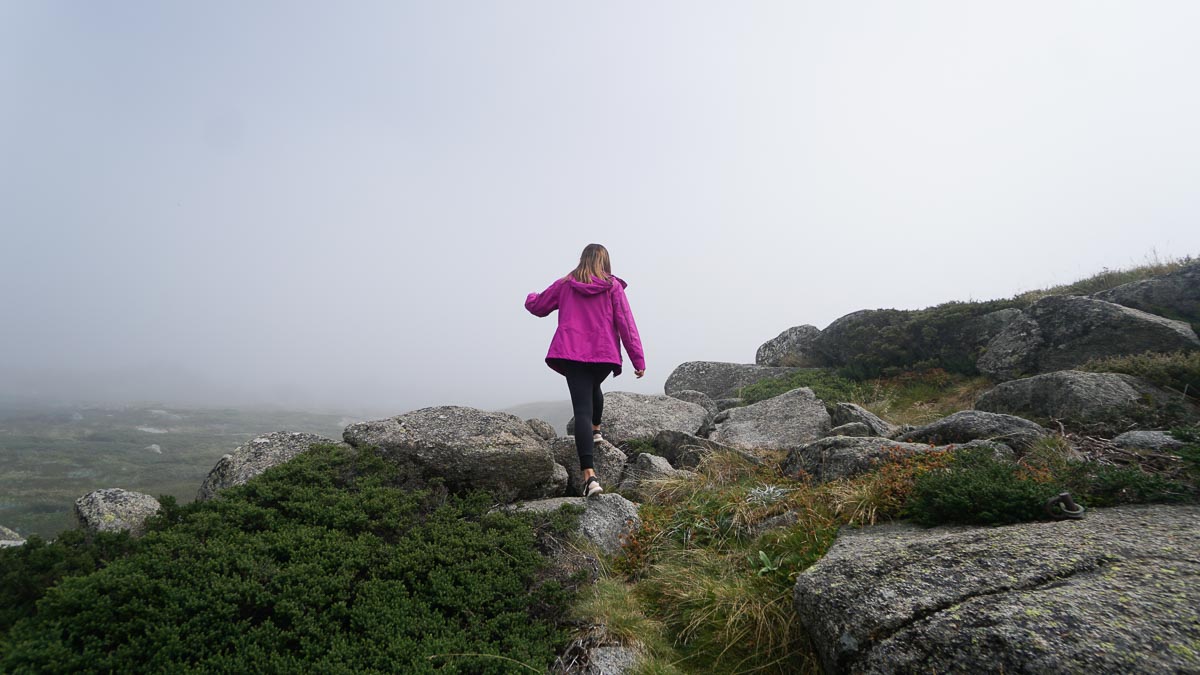 Mount Kosciuszko - Sydney South Coast Road Trip