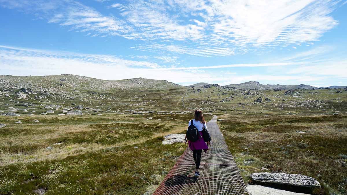 Hiking Mount Kosciuszko - Sydney South Coast Road Trip