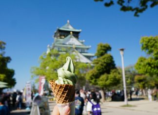 8-Day Japan Itinerary: 9 Cities in Kansai for Under S$900 Matcha ice cream in front of Osaka Castle - JR Pass Japan Budget Itinerary