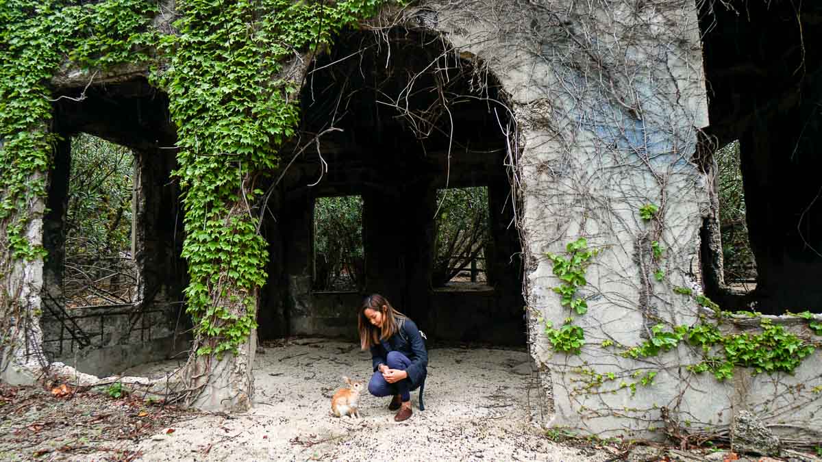 Okunoshima rabbit island - Japan JR Pass Japan Budget Itinerary