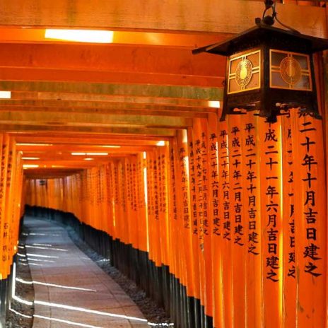 Fushimi Inari Shrine - Japan JR Pass Budget Guide