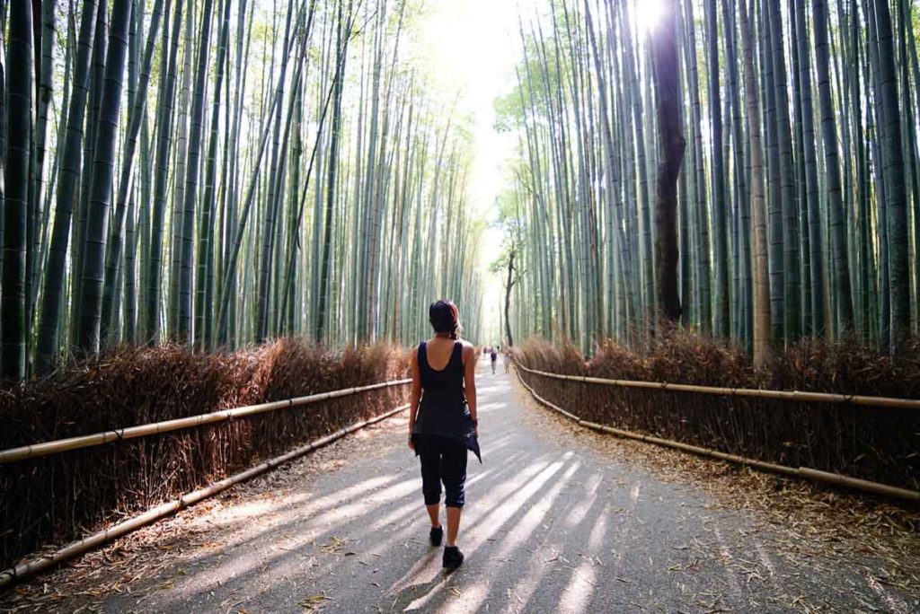 Arashiyama Bamboo Forest - Japan Travel Tips Peak Season