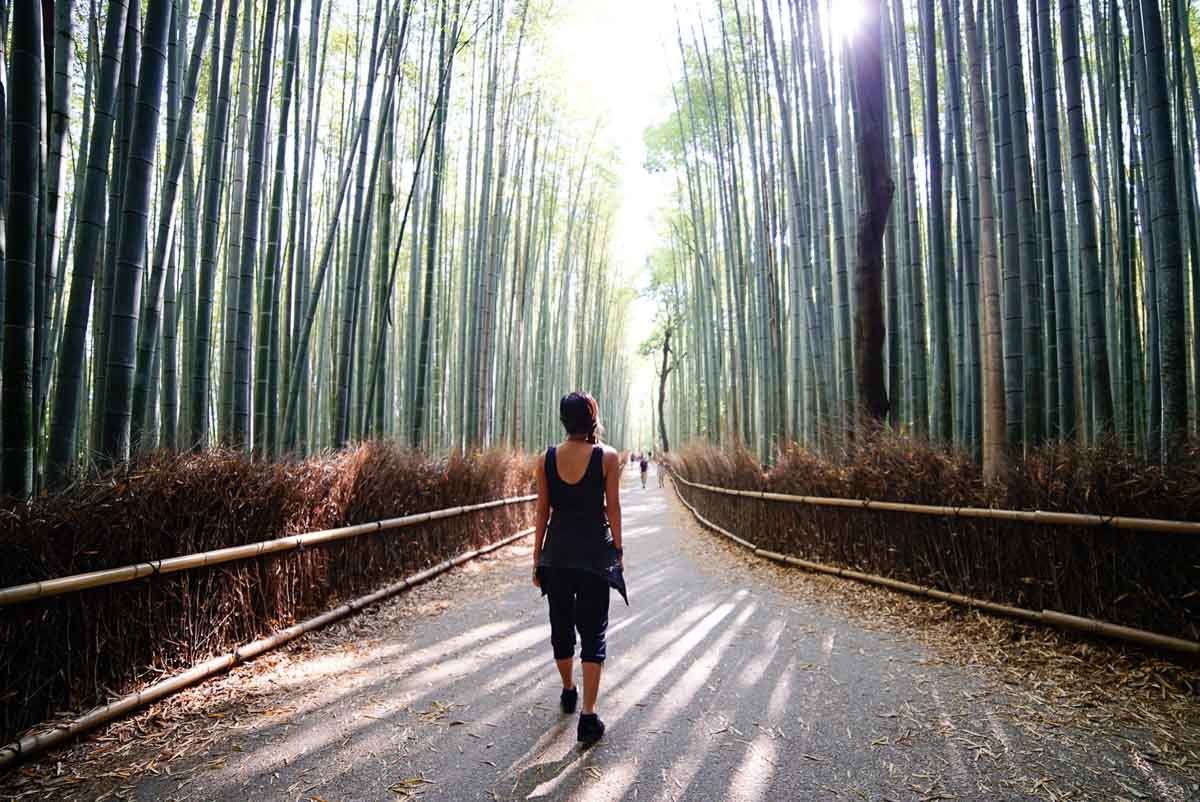 Arashiyama Bamboo Forest - Backpacking in Japan Itinerary with the JR Pass