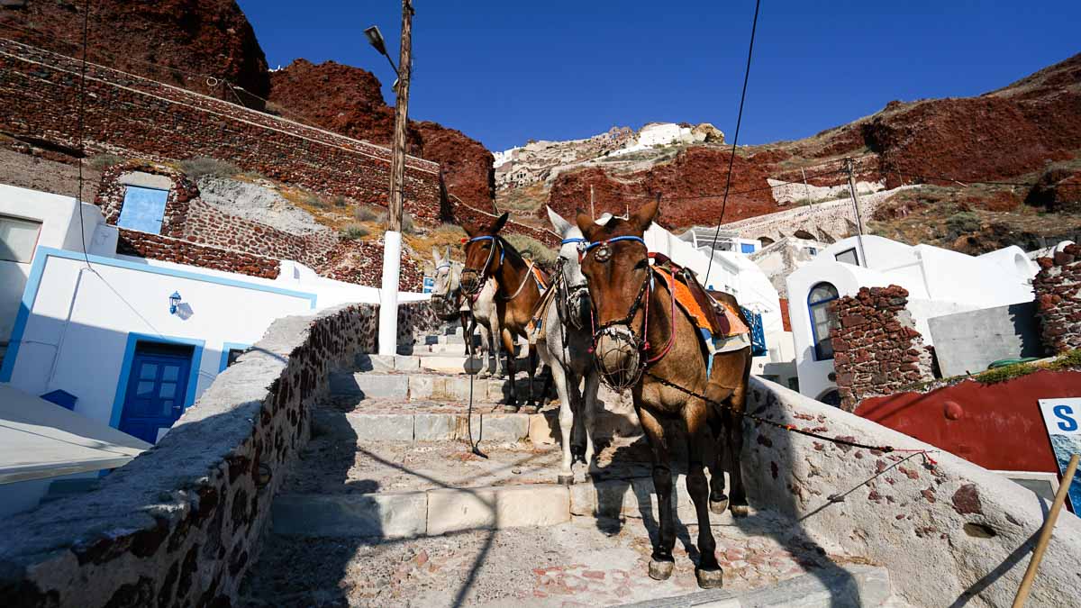 Pony Rides in Oia Santorini - Greece Budget Itinerary