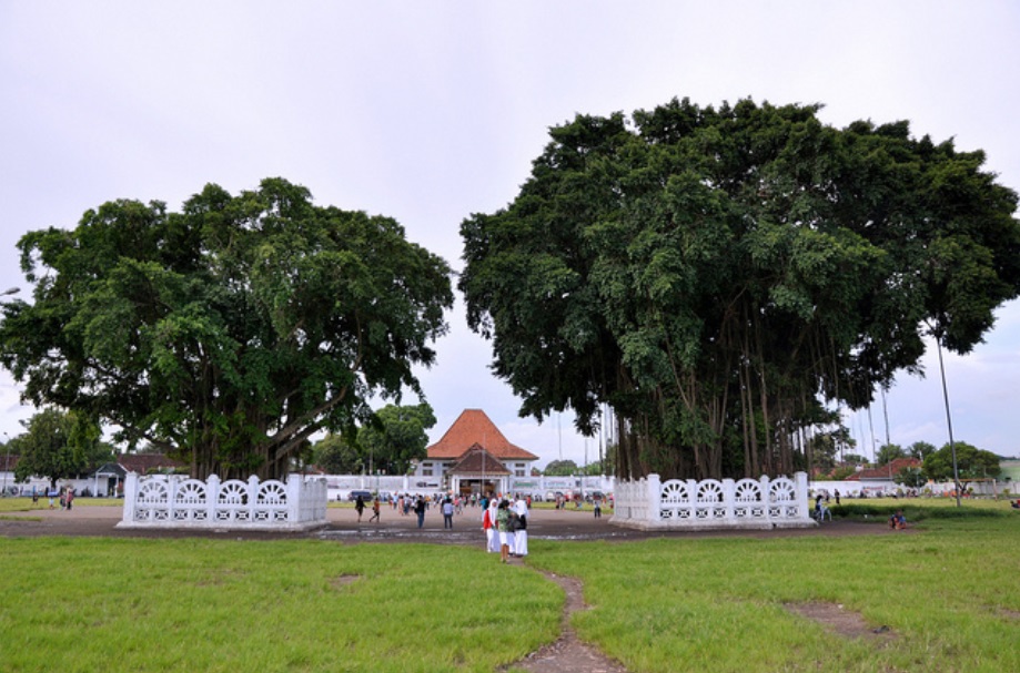 Alun Alun Banyan trees - Yogyakarta Itinerary