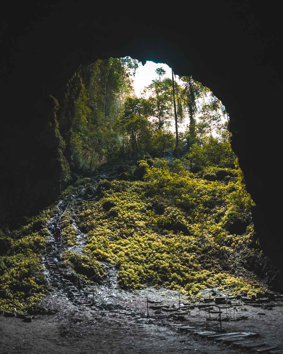 Jomblang Cave Opening - Photo spots in Yogyakarta