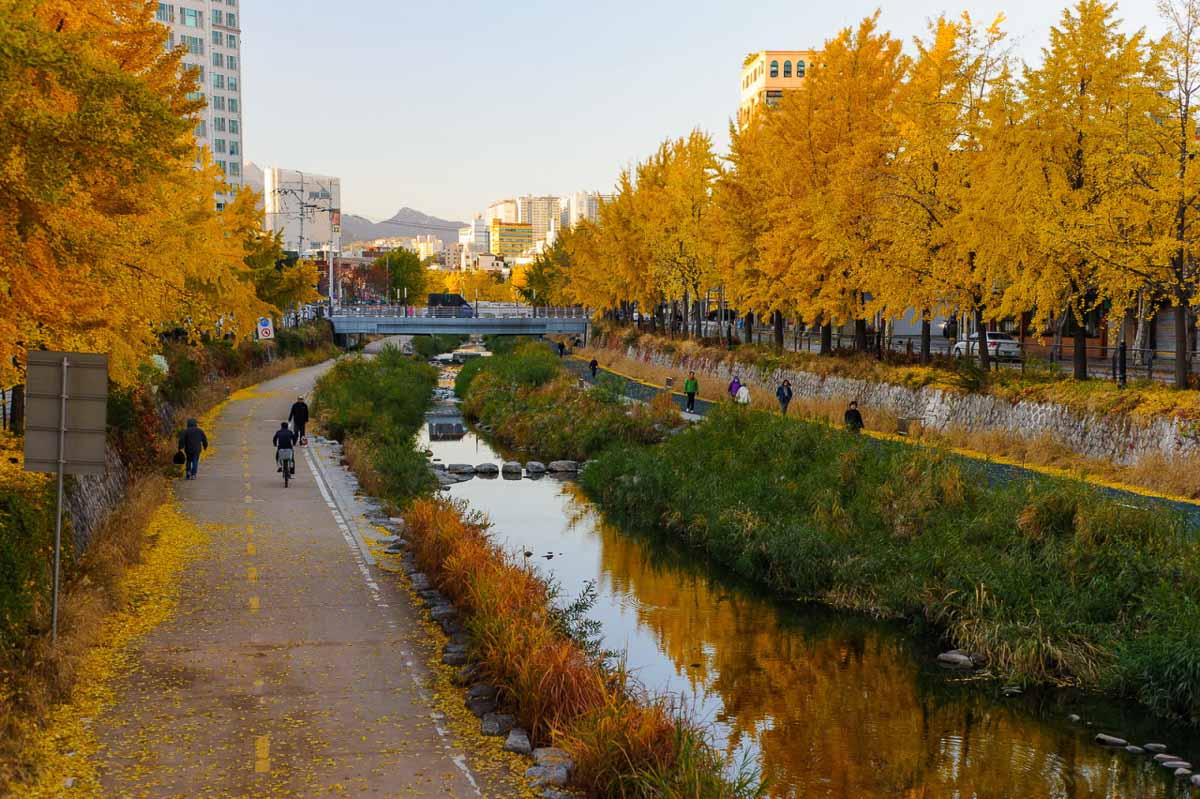Seoul Cheonggyecheon Autumn - Budget Hack: Non-Peak Travel
