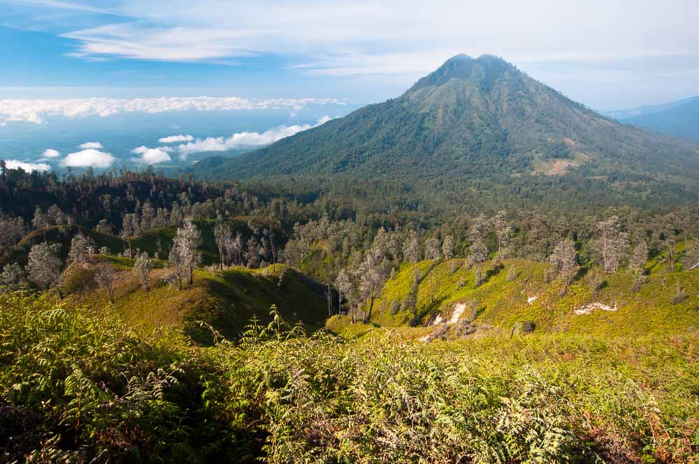 Ujung Kulon National Park - Jakarta - Indonesia