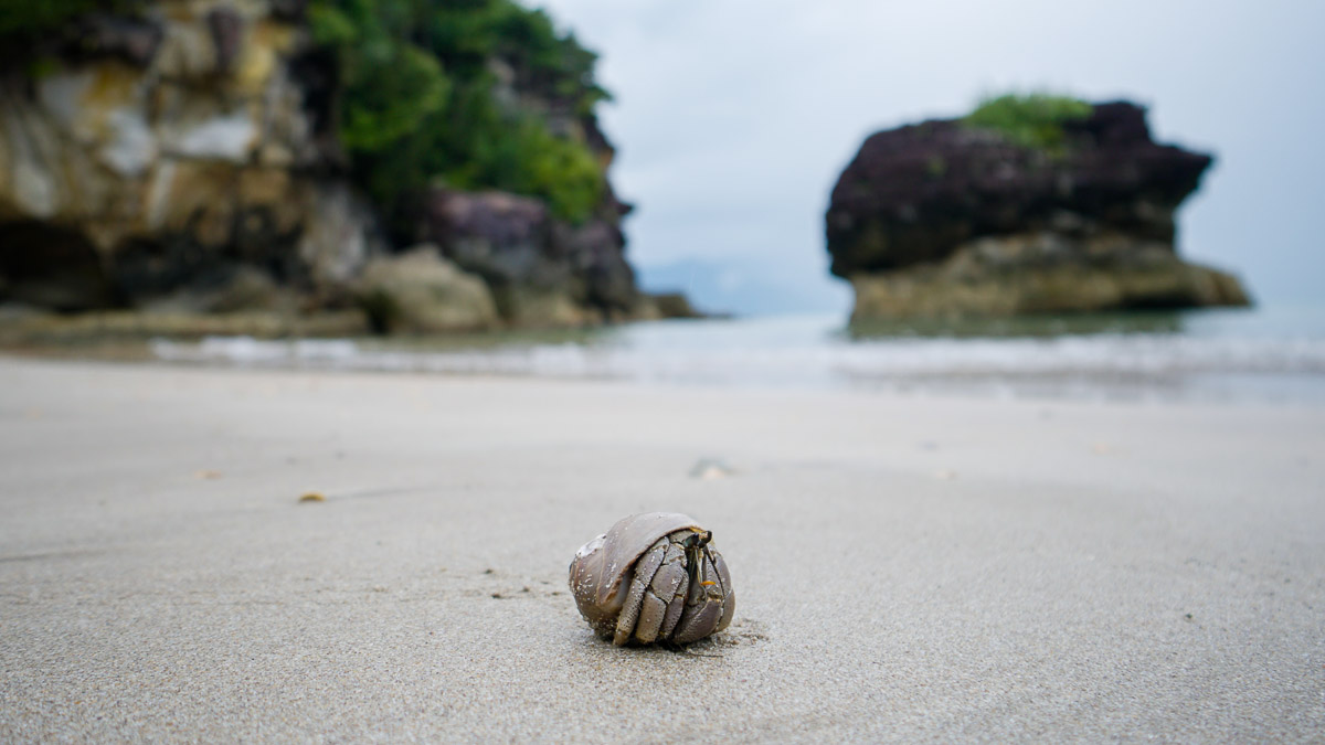 Hermit Crab Bako - Kuching Itinerary