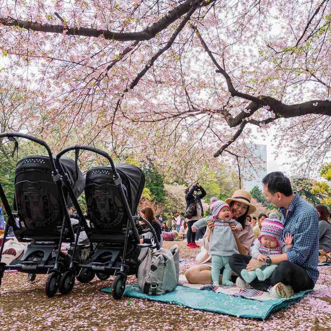 @leialauren with peter and amber in Japan Sakura - Interview with Amber & Peter