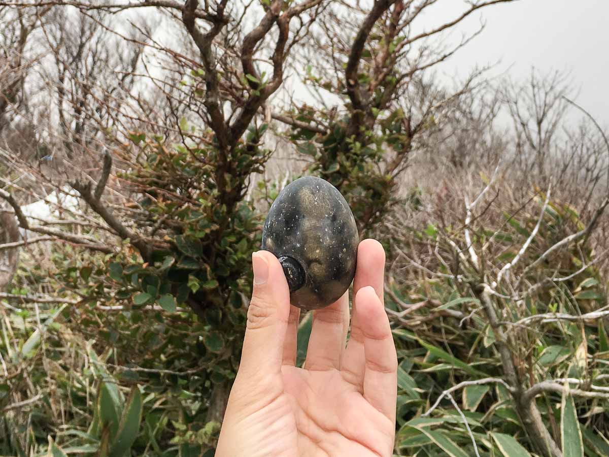 Owakudani Black Volcanic Egg - Top 10 Places to Visit in Hakone