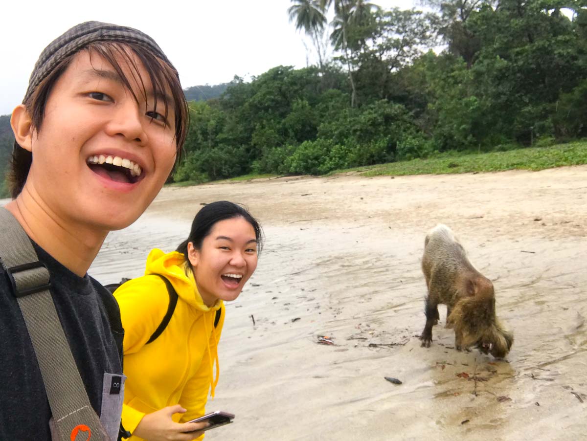 Wefie with Bearded boar at Bako - kuching itinerary