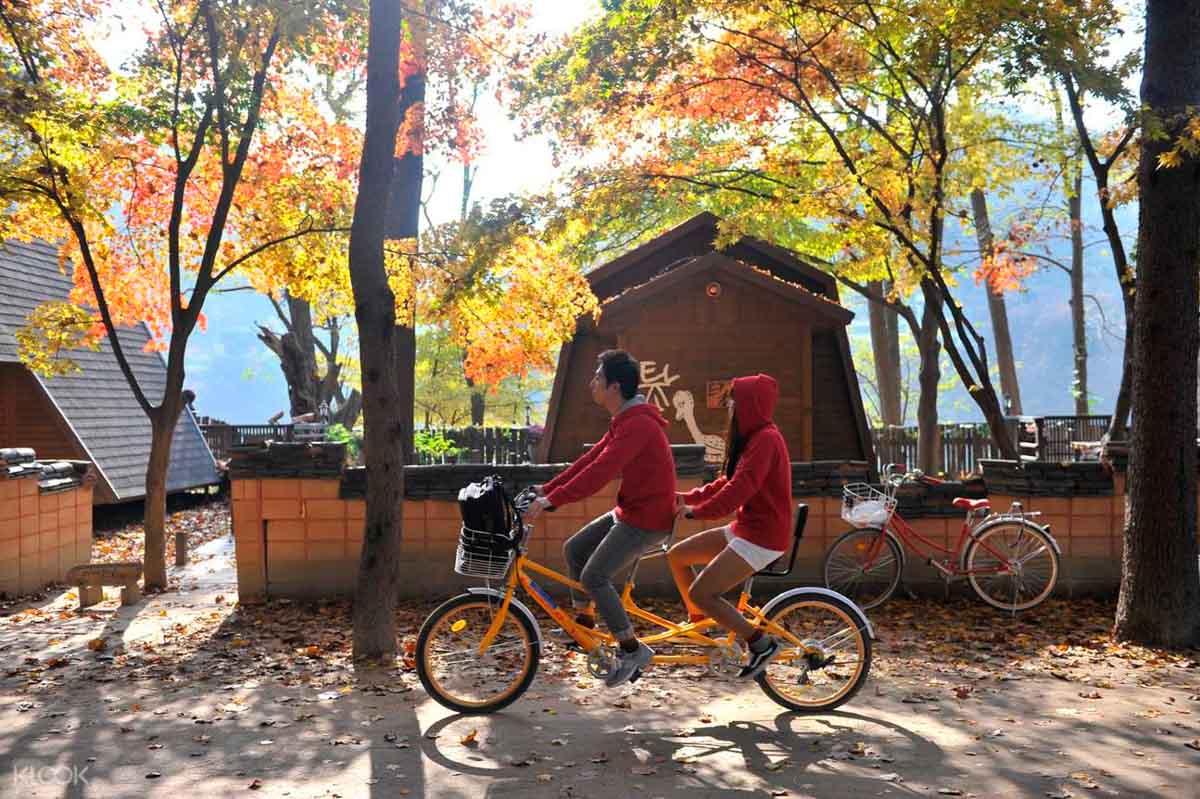 Cycling in Nami Island South Korea - Nami Island Guide