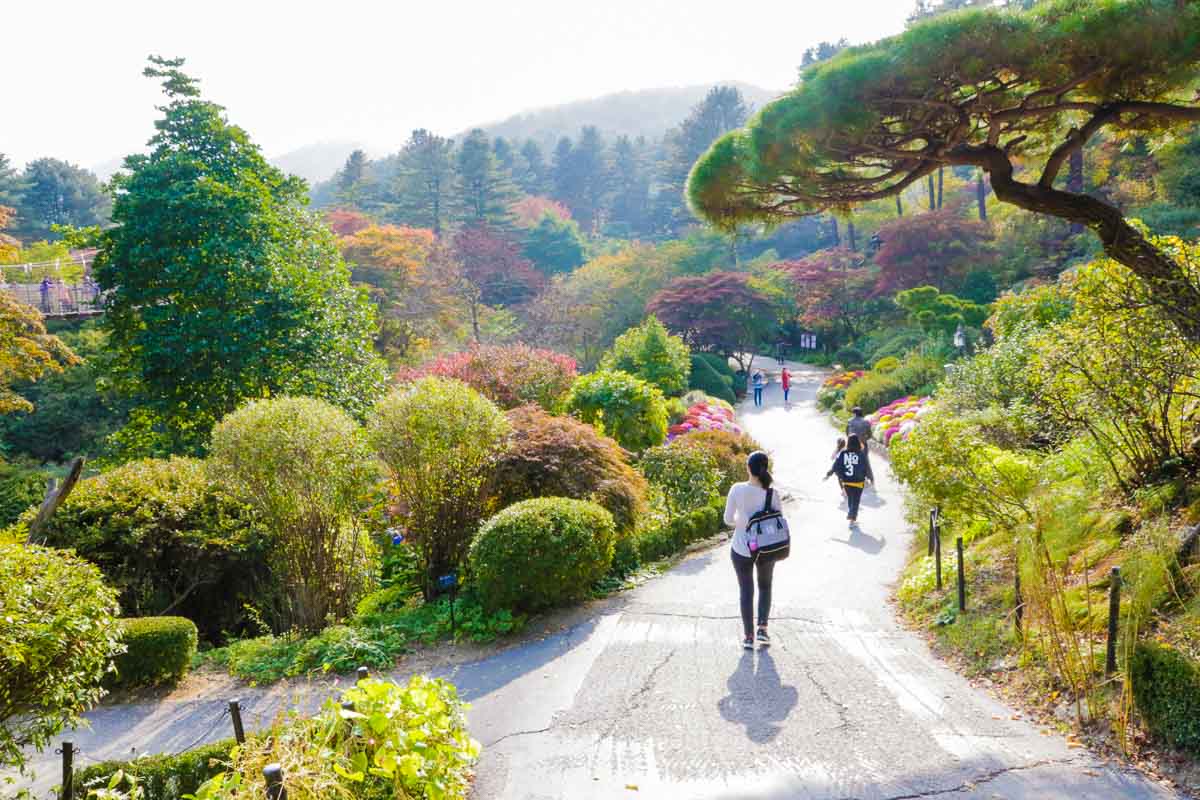 Garden of Morning Calm - Nami Island