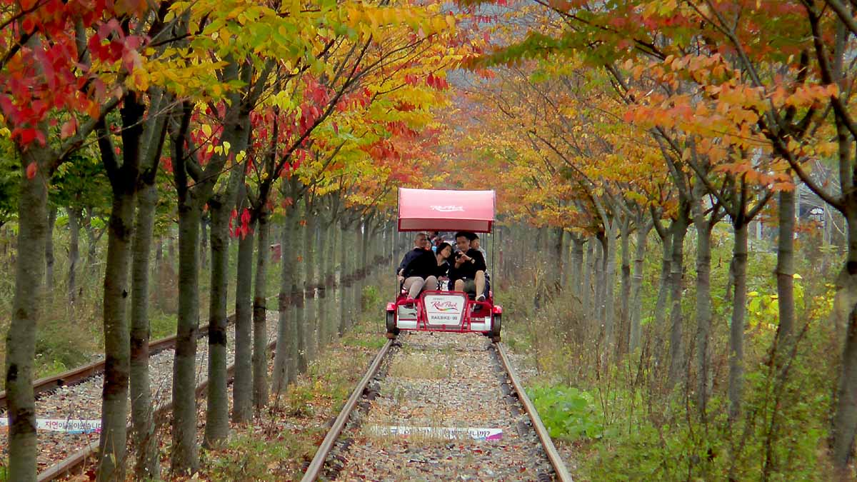 Gapyeong Rail Bike - Nami Island