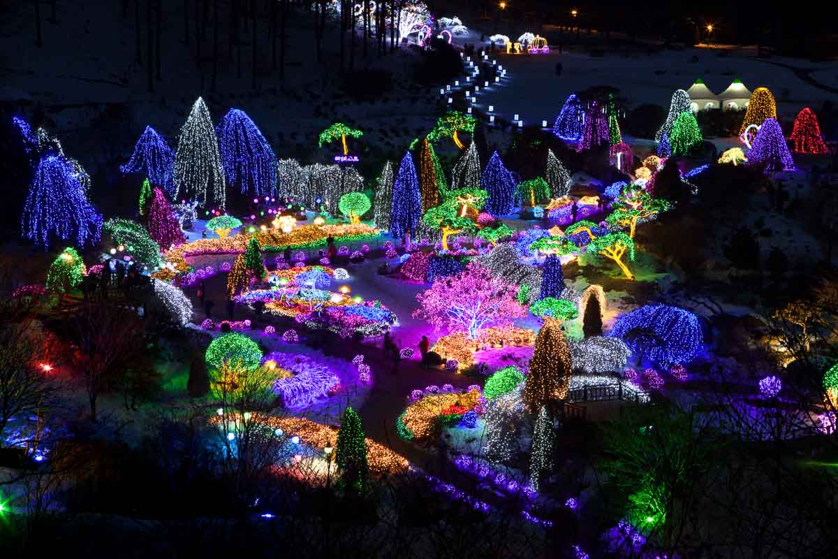 Garden of Morning Calm Winter Lights - Nami Island