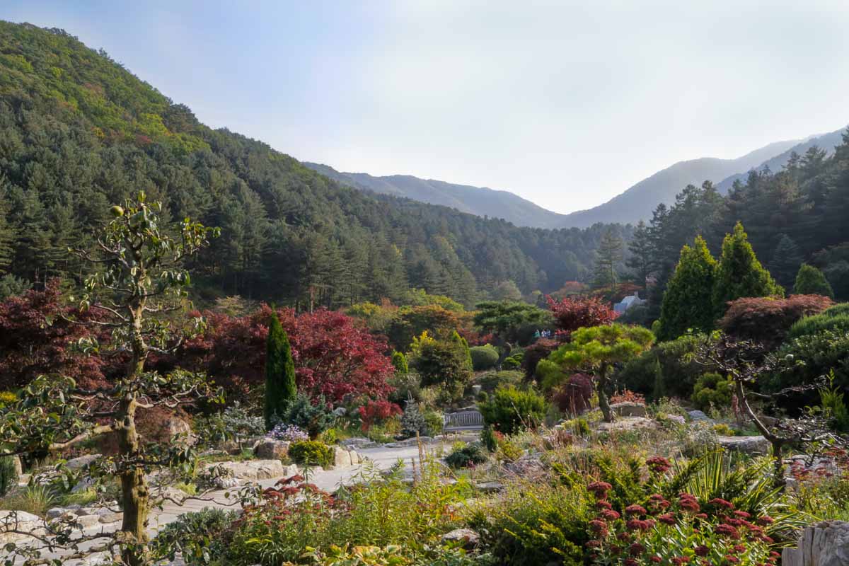Garden of morning calm - Korea Itinerary Korail Pass