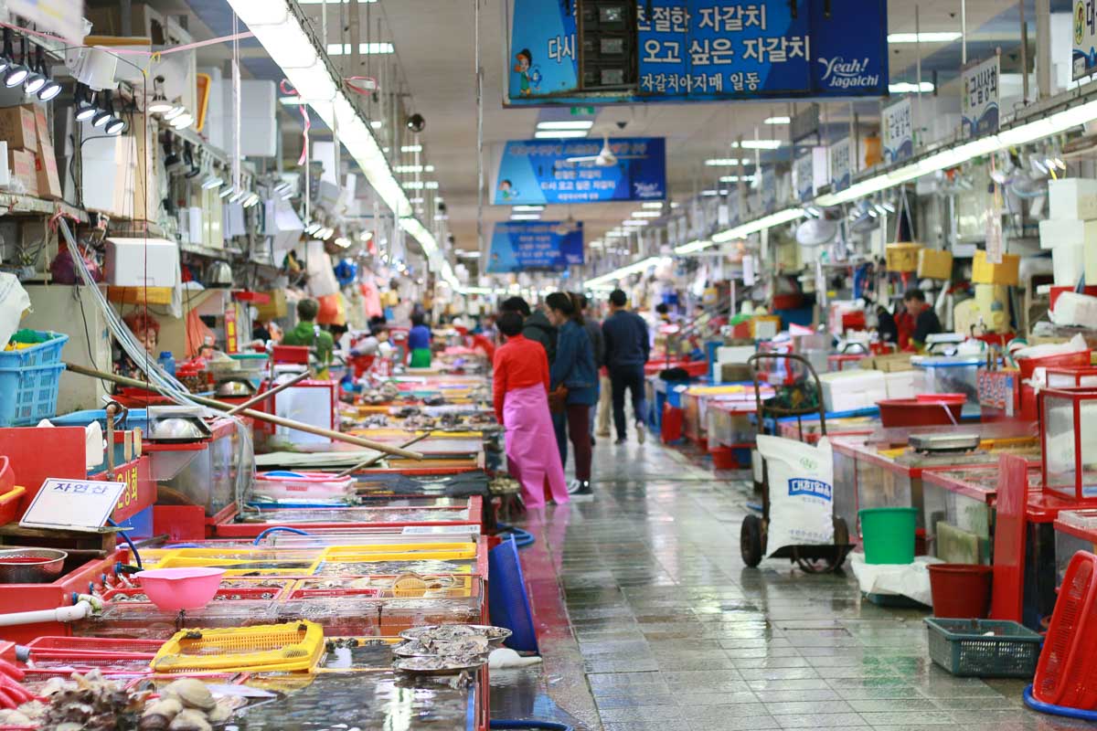 Jagalchi Market -Korea Itinerary Korail Pass