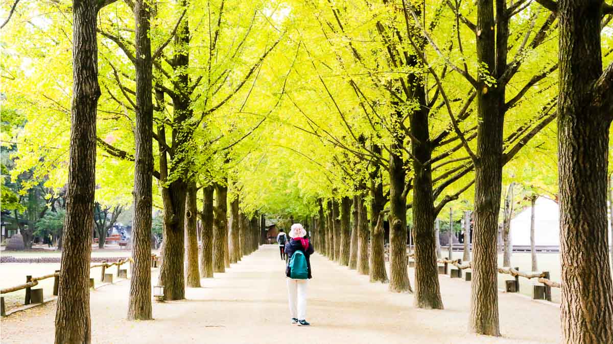 nami island day trip