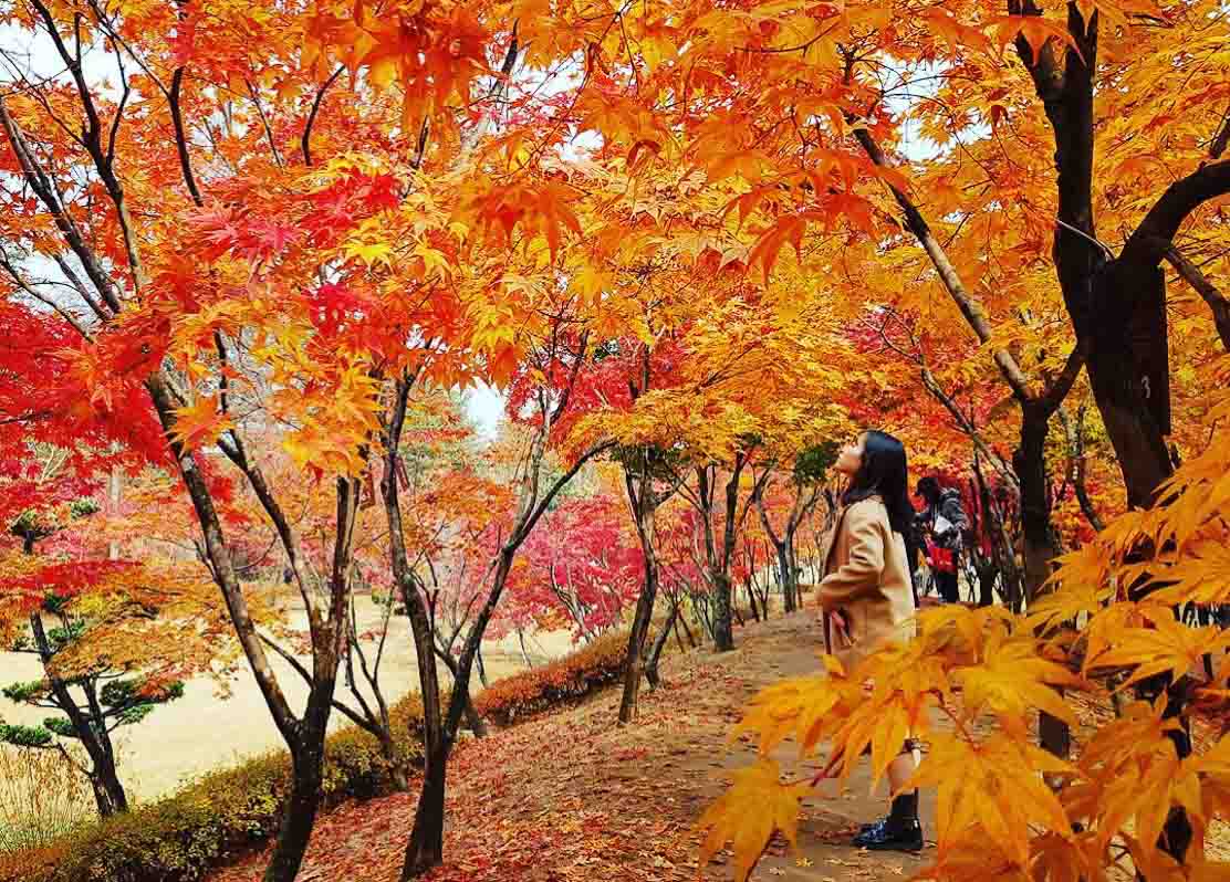 nami island trip