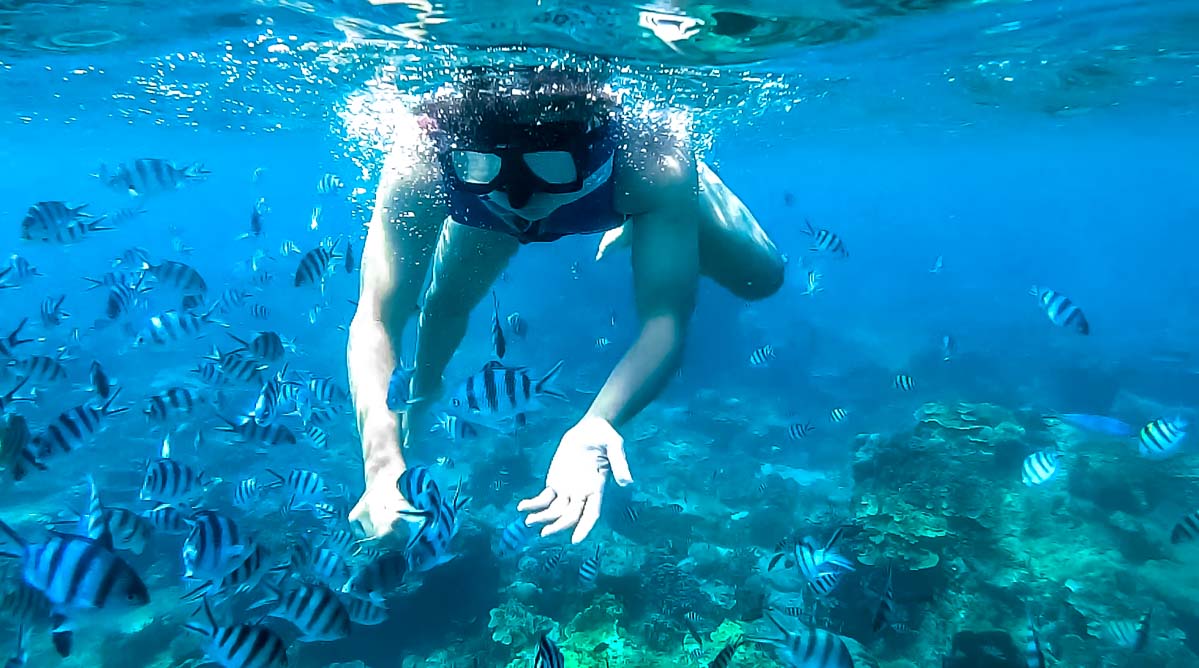 Snorkeling Lang Tengah 