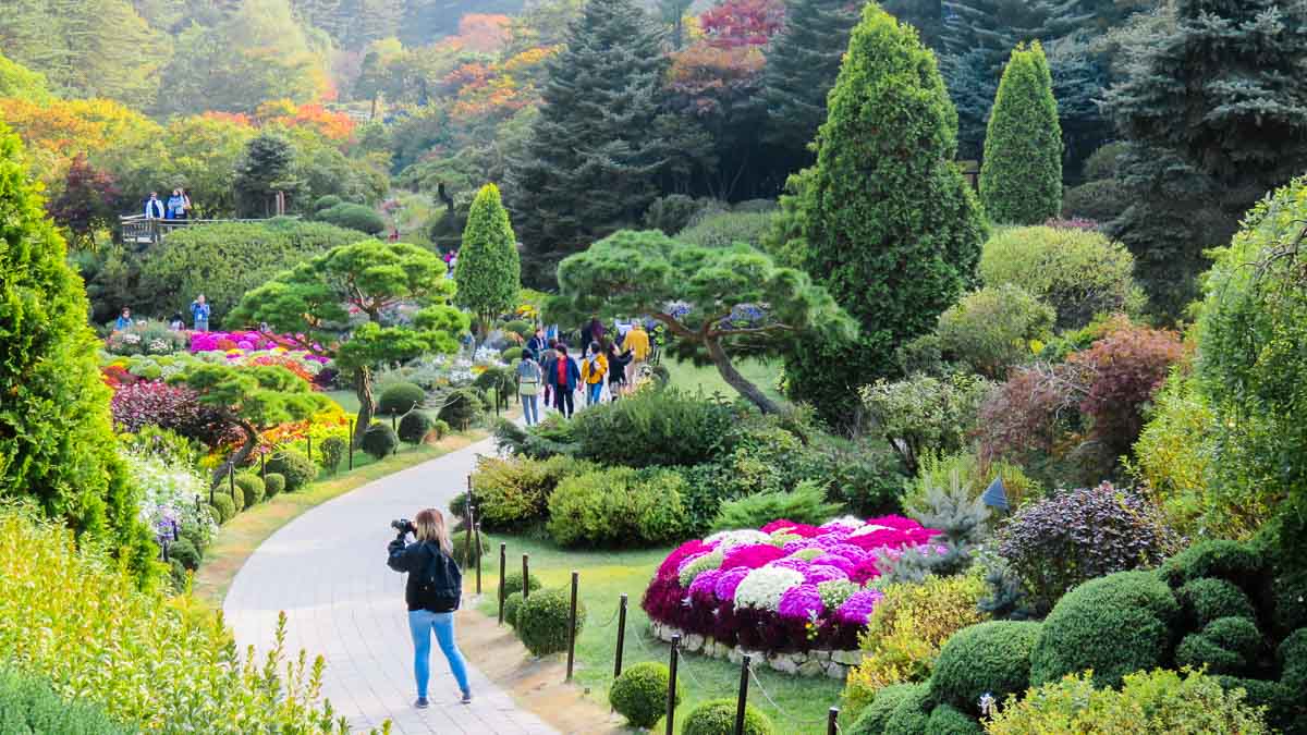 Sunken Garden Garden of Morning Calm - Nami Island