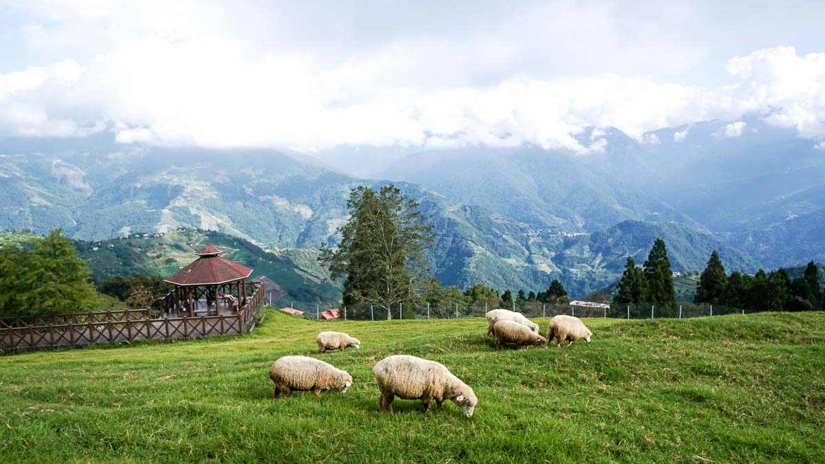 tour taiwan farm