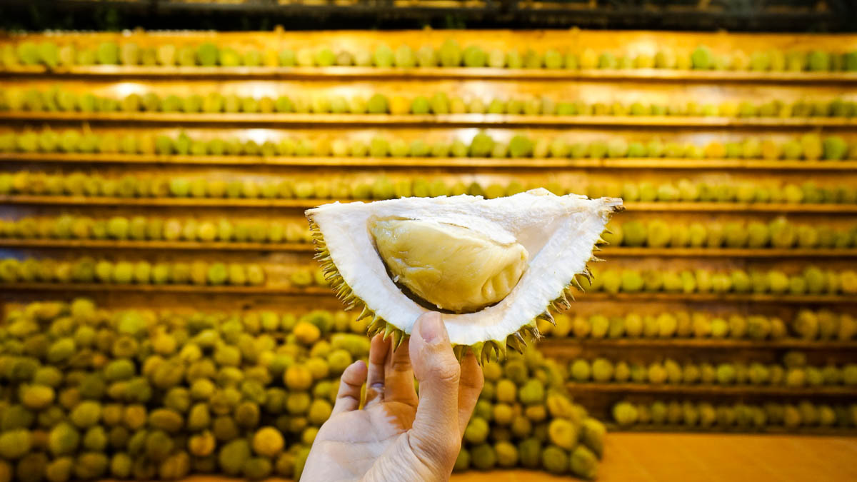 Durian at Si Bolang - Medan itinerary