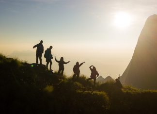 5 Things I Learnt While Travelling In India As A Singaporean Munnar Kolukkumalai - Things to do in Kerala