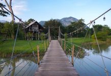 Featured - things to do in Khao Yai