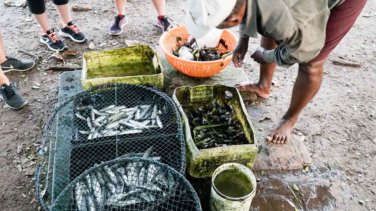 Fishermans catch - Kerala bucket list