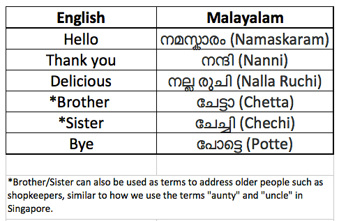 Kerala Information malayalam - Kerala Itinerary-1