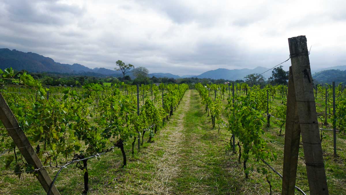 PB Wine Valley - Khao Yai Itinerary