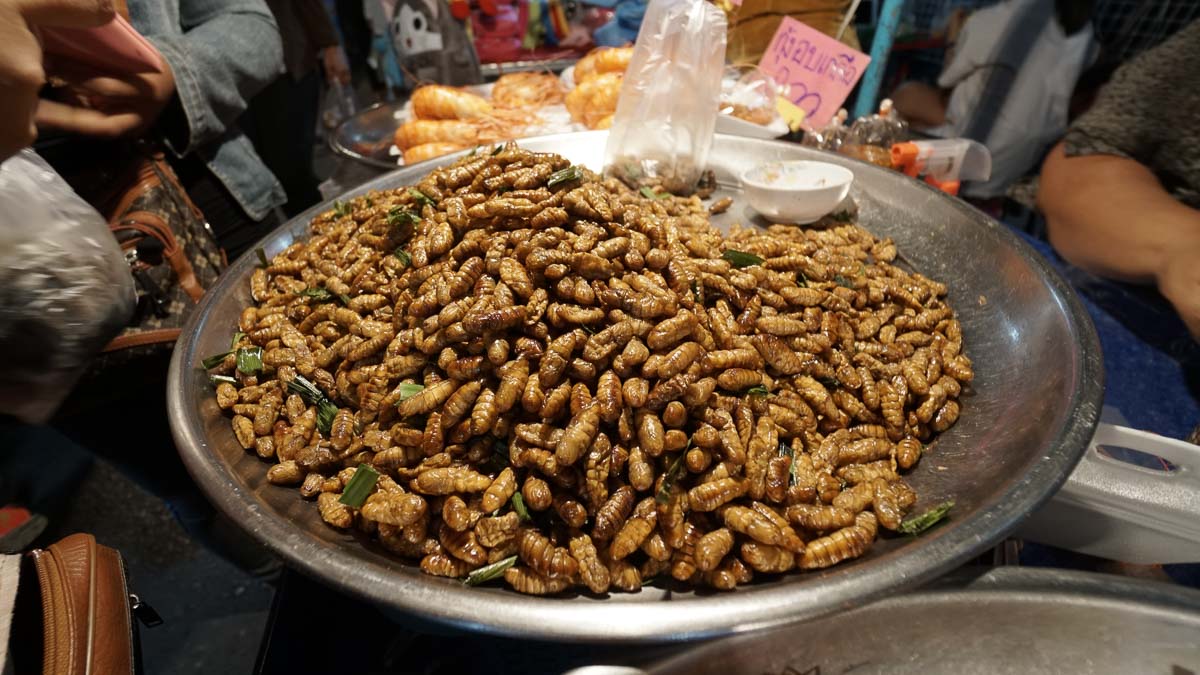 Pak Chong Night Market insects snack - Khao Yai Itinerary