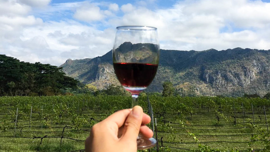 Shiraz Wine at PB Valley Vineyard - Best Things to do in Khao Yai
