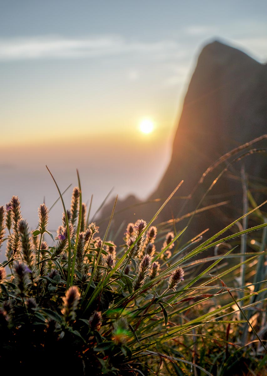 Sunrise at Kolukkumalai - kerala bucket list