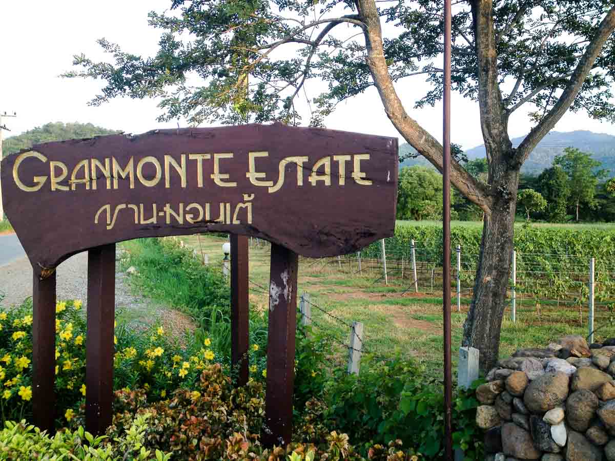 Granmonte Estate Vineyard - Things to do in Khao Yai