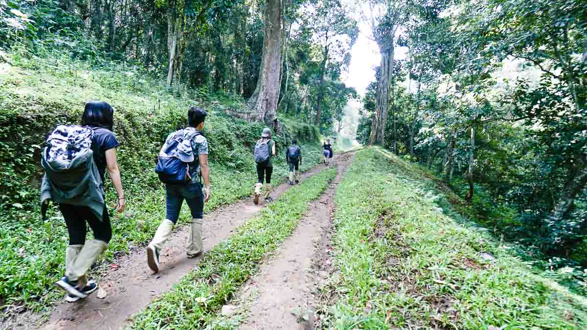 Trekking in Periyar - Kerala Itinerary