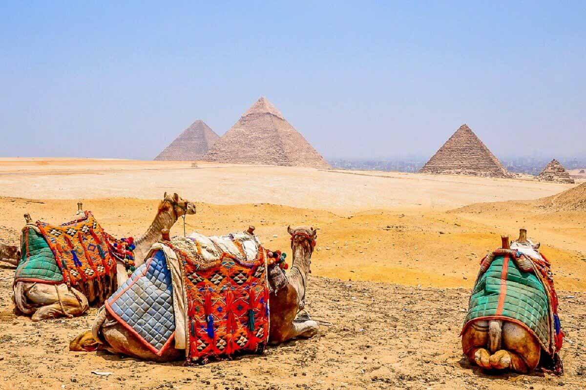 Egypt Camels and Pyramids - Visas Every Singaporean Wants