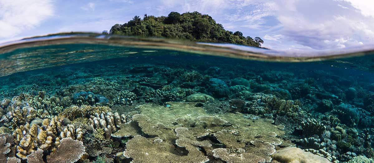 Papua New Guinea snorkelling - Visas Every Singaporean Wants