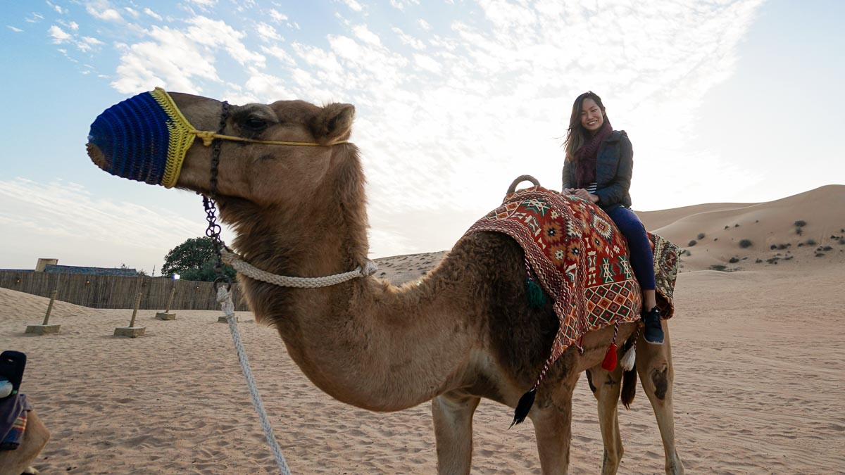 Camel rides outside the Bedouin campsite - Dubai itinerary