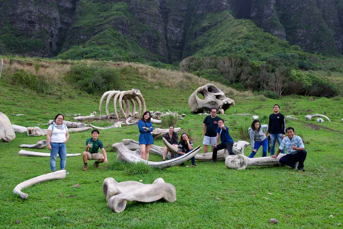 Group photo in Kualoa Ranch - Things to do in Honolulu