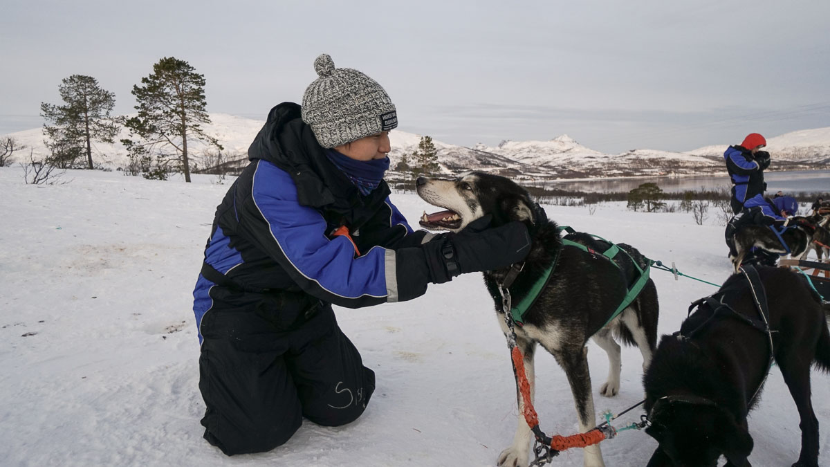 Tromsø Alaskan Huskies1-Norway Winter Itinerary
