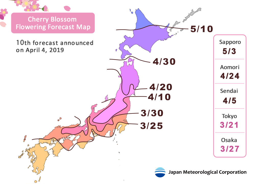 2019 Japan Cherry Blossom Forecast 10 - Ultimate Cherry Blossom Japan Guide