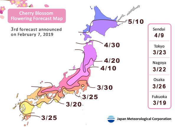 2019 Japan Cherry Blossom Forecast 3 - Ultimate Cherry Blossom Japan Guide