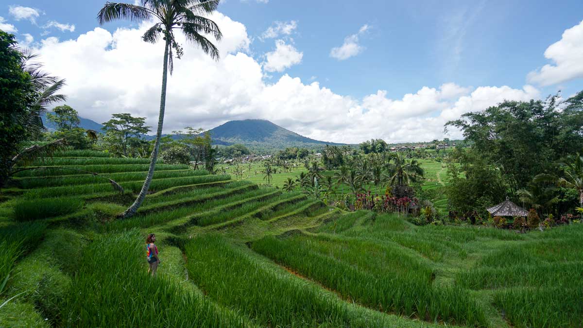 Adventurous things to do in Bali