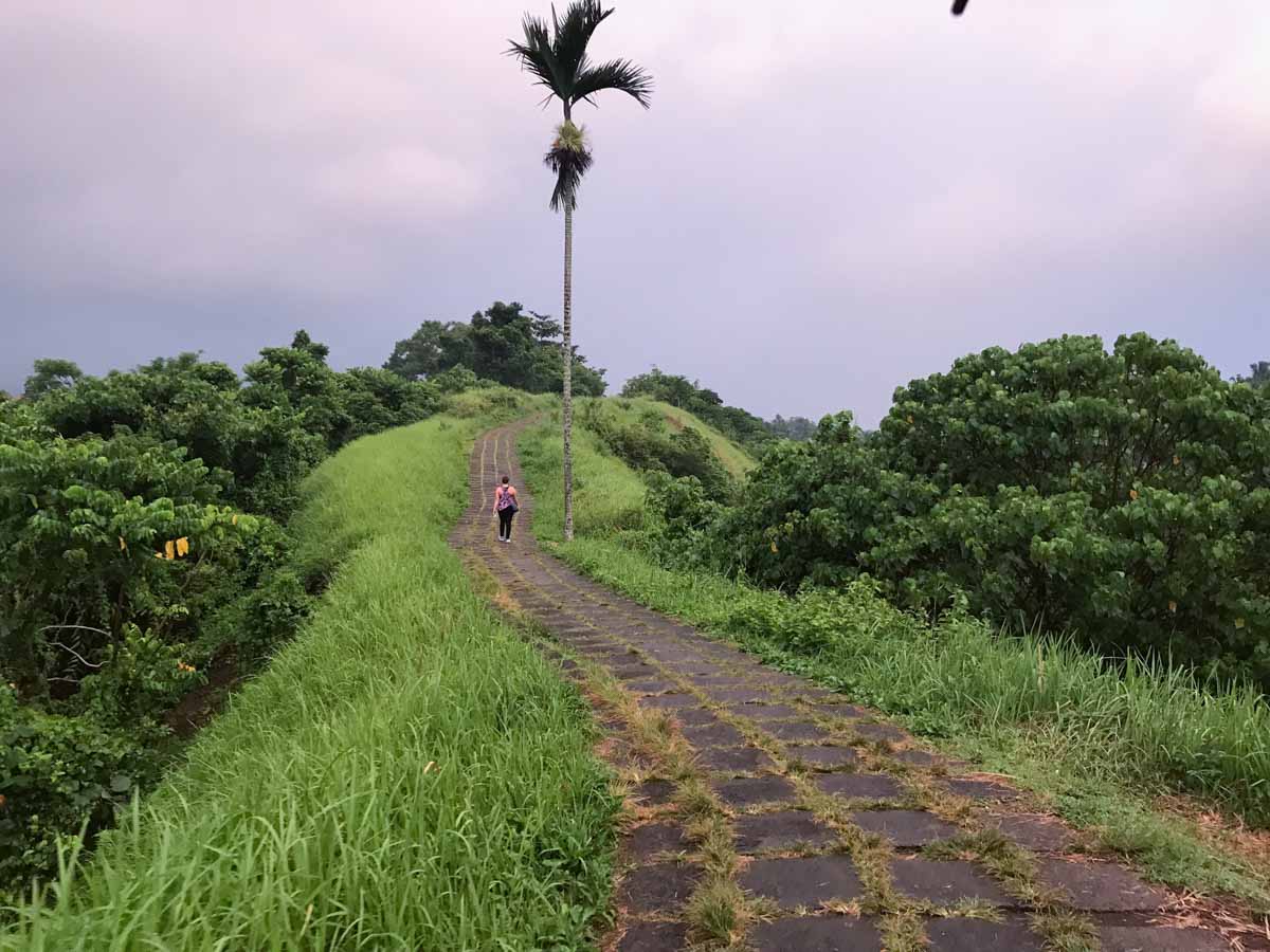 Campuhan Ridge Walk - 5D Adventurous Bali Itinerary